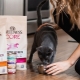 Wellness CORE cat food