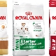 ROYAL CANIN dog food
