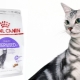 ROYAL CANIN food for neutered cats and neutered cats