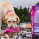 Eukanuba dog and cat food