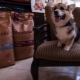Small breed dog food GRANDORF
