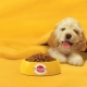 Pedigree dog food