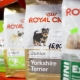 ROYAL CANIN feed