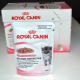 ROYAL CANIN for kittens