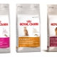 ROYAL CANIN food for fastidious cats