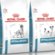 ROYAL CANIN for medium-sized dogs