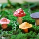 Modeling mushrooms from plasticine