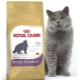 Review of ROYAL CANIN food for British cats