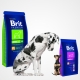 Brit Puppy Food Review