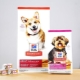 Hill's Small Breed Dog Food Review