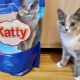 Katty Fillers Review