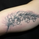 Review of biceps tattoo