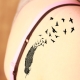 Bird Feather Tattoo Review