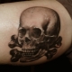Skull tattoo overview