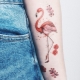 Overview of bird tattoos and places of their application