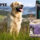 Description of Chicopee dog food