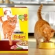 Description of Friskies feed