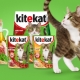 Description of Kitekat feed