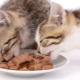 Description of Purina Pro Plan wet food for kittens