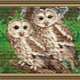 Features of owl diamond mosaic