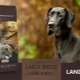 Features and Review of Landor Dog Foods