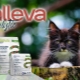 Features of food for cats and cats Alleva