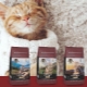 Features of food for cats and cats Landor