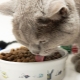 Features of SUMMIT cat food