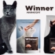 Features of food for cats and cats Winner
