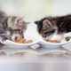 Features of feed for kittens PURINA ONE