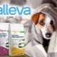 Features of Alleva dog food