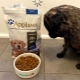 Features of Applaws dog food