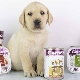 Features of Gemon dog food