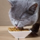 Features of food for sterilized cats and cats PERFECT FIT