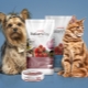 Features of feed Italian Way
