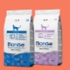 Features of Monge food for kittens