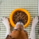 Features of Petdiets feed