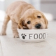 Features of Purina Dog Chow puppy food