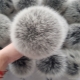 Features of fur pom-poms
