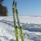 Features of plastic skis