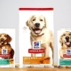 Features of Hill's dry dog ​​food