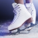 Professional and semi-professional skates