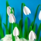 Variety of applications on the theme of Spring