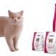Sirius variety of food for cats and cats