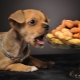 Variété de nourriture pour chiots Farmina