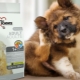 Variety of 1st CHOICE dog food