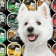 Variety of Cesar dog food