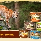 Wildcat food variety