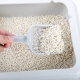 Variety of Corn Fillers Golden Cat