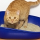 Variety of Brava cat litter
